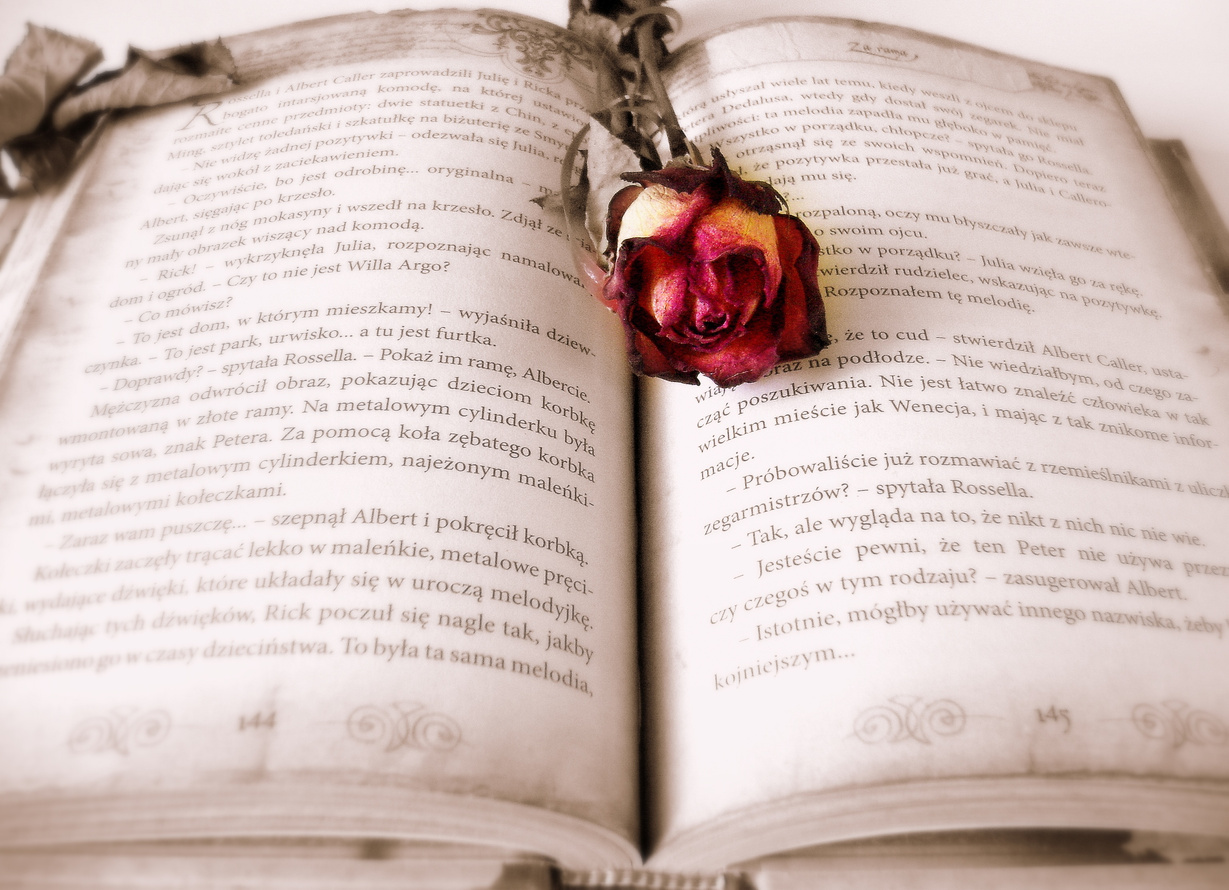 Rose on a Book